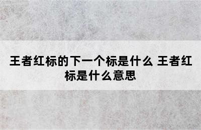 王者红标的下一个标是什么 王者红标是什么意思